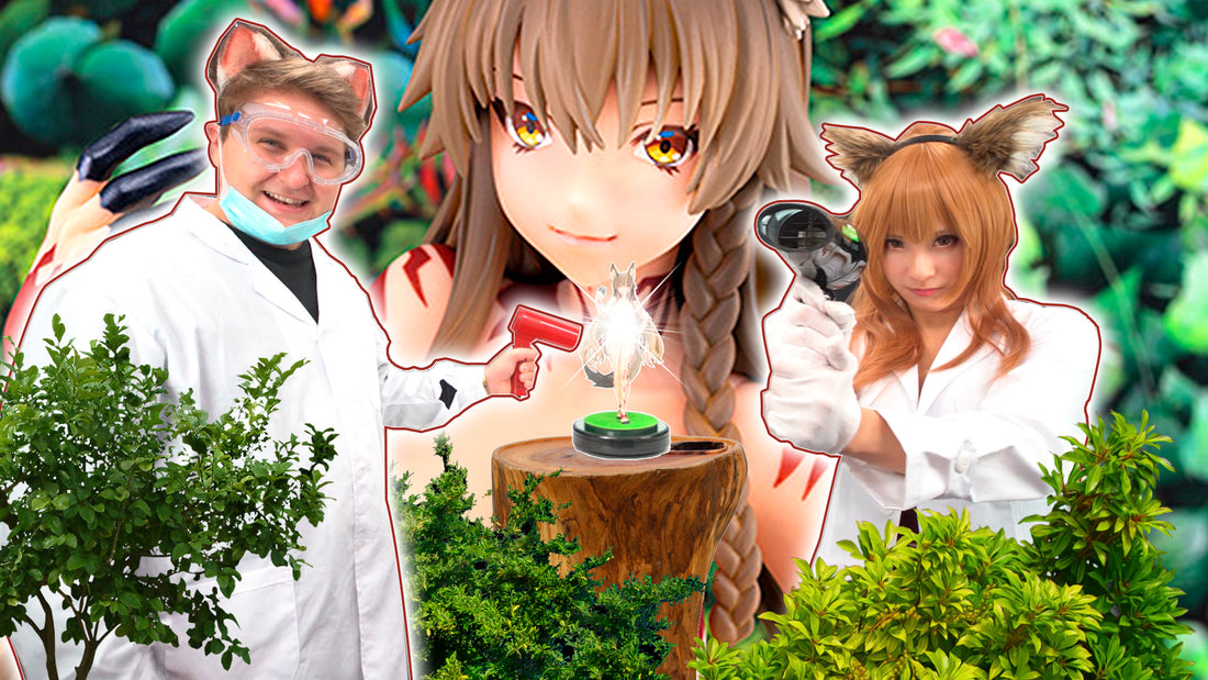 Dai Kingdom Series Tamago no Kimi Original Illustration Miss Fox Ears