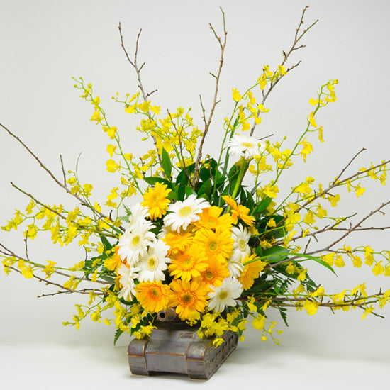 What Happens When Girls and Tanks Get Together