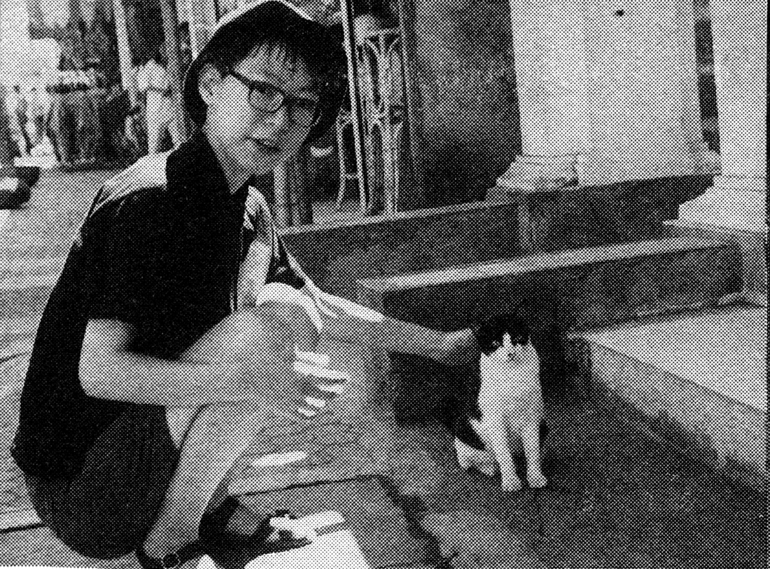 Cat Soup? Chiyomi Hashiguchi? Just who is Nekojiru?