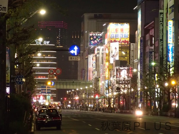The Signs and Billboards of Akihabara Vol. 4!